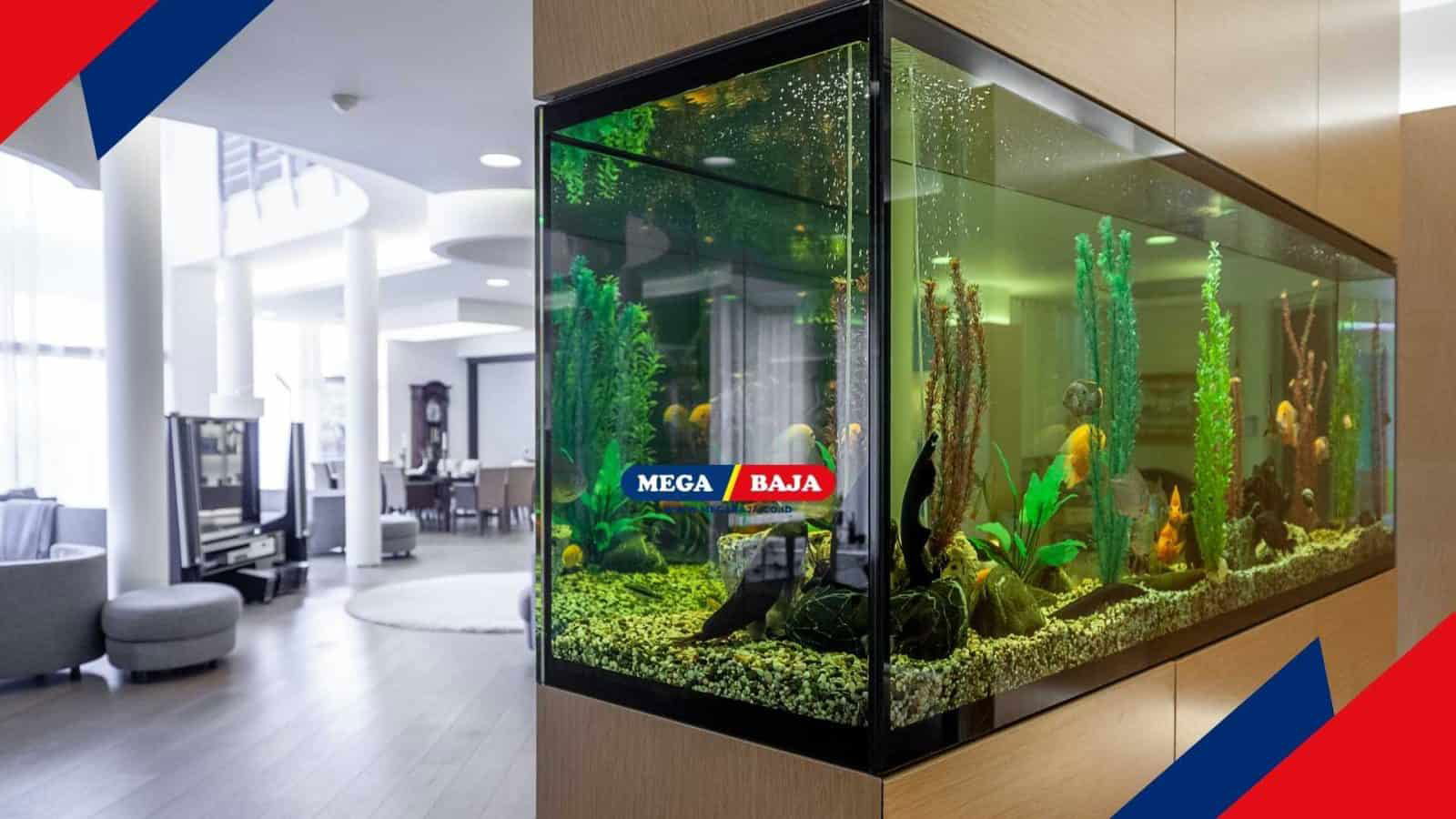 9 Inspirasi Gaya Aquascape Populer untuk Dekorasi Rumah