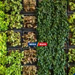 Cari Tanaman Hias untuk Outdoor Vertical Garden_ Ini Dia Listnya!