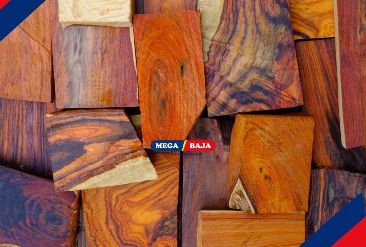 Kayu Rengas, Pohon Eksotik untuk Arsitektur dan Konstruksi