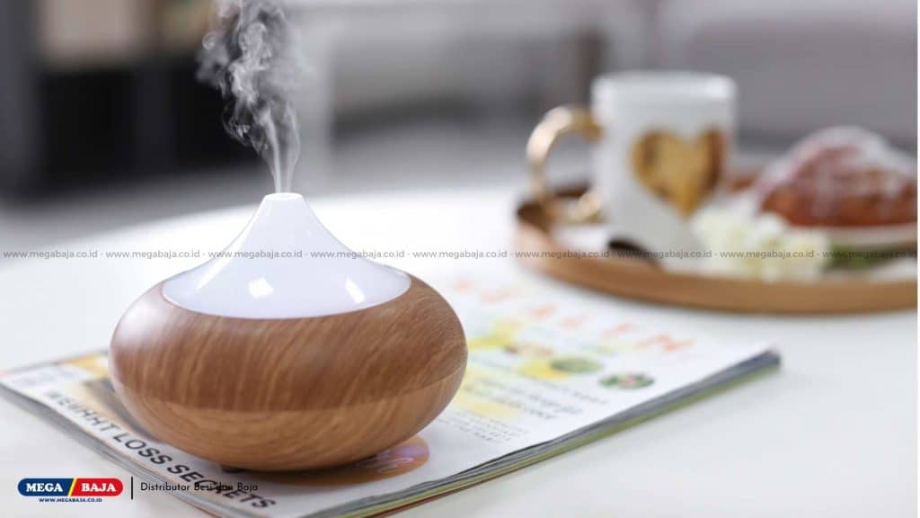 Apa Itu Air Humidifier?