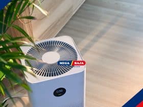 Bikin Udara Bersih! Inilah Perbedaan Air Purifier dan Air Humidifier