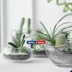 Membuat Dekorasi Rumah Bertema Alam dengan Terrarium dan Cara Membuatnya