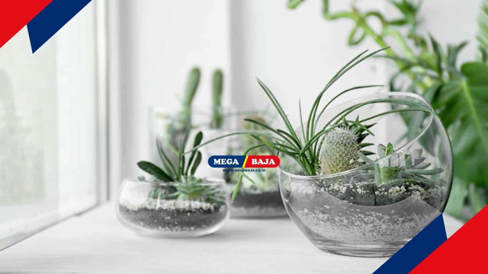 Membuat Dekorasi Rumah Bertema Alam dengan Terrarium dan Cara Membuatnya