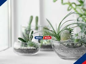 Membuat Dekorasi Rumah Bertema Alam dengan Terrarium dan Cara Membuatnya