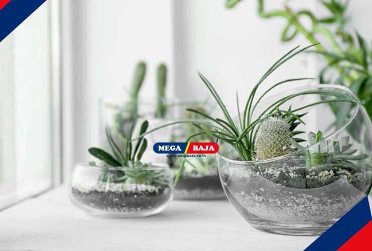 Membuat Dekorasi Rumah Bertema Alam dengan Terrarium dan Cara Membuatnya