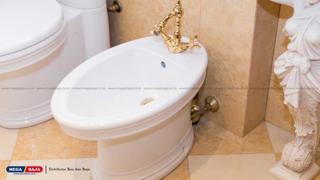 Bentuk Bidet Menyerupai Wastafel dan Kloset