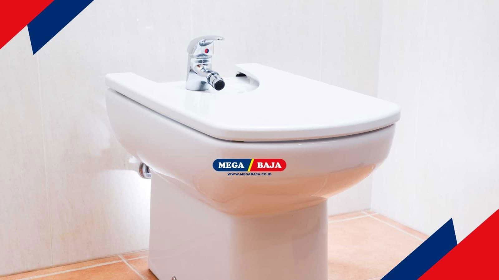 Pengertian Bidet dan Cara Menggunakannya