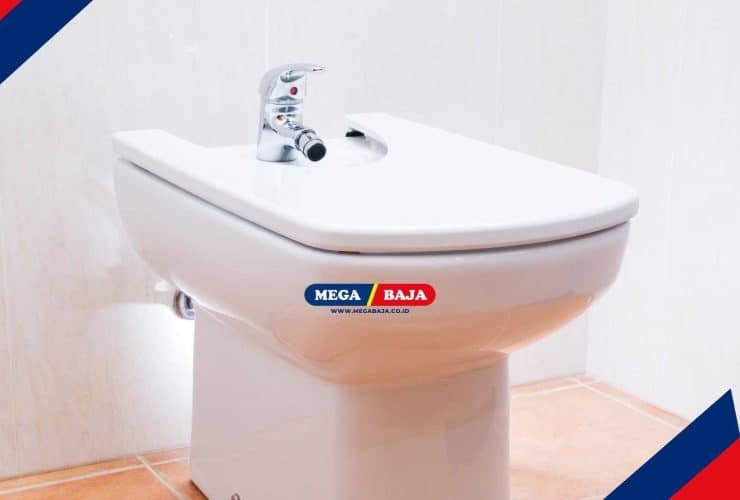 Pengertian Bidet dan Cara Menggunakannya