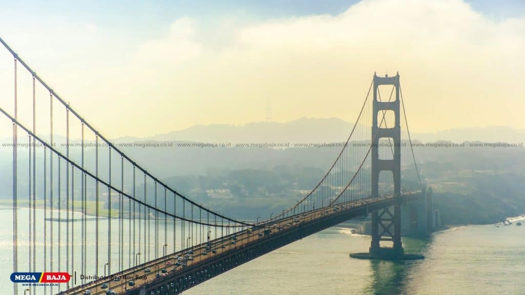 Suspension Bridge