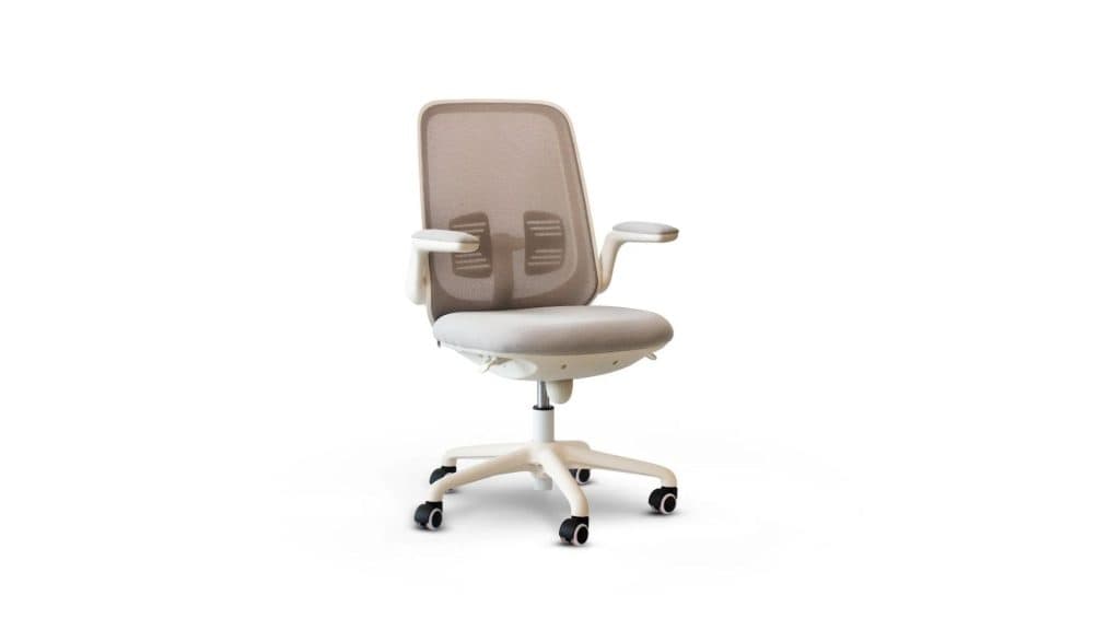 PEXIO Office Chair PEX Hervey