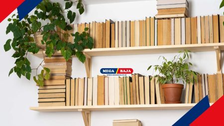 Catat! Inilah Pilihan Desain dan Ukuran Rak Buku untuk Perpustakaan Rumah